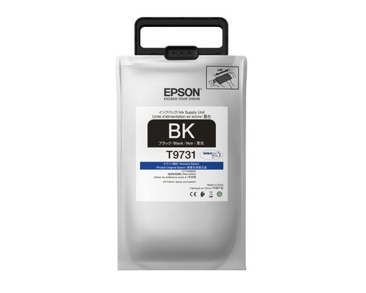 Mastilo EPSON T97310N Crno RIPS XL