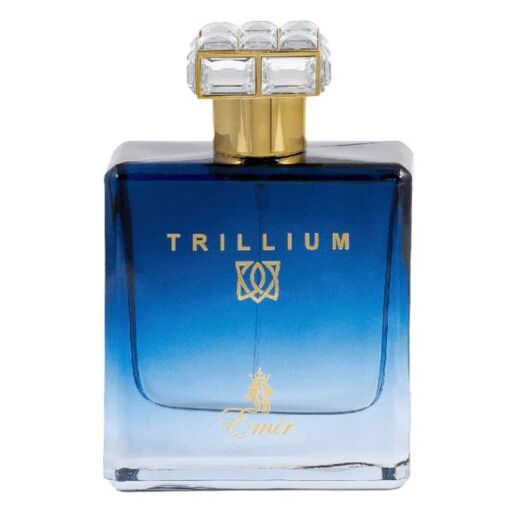 Muški parfem Emir Trillium Eau de Parfum 100ml