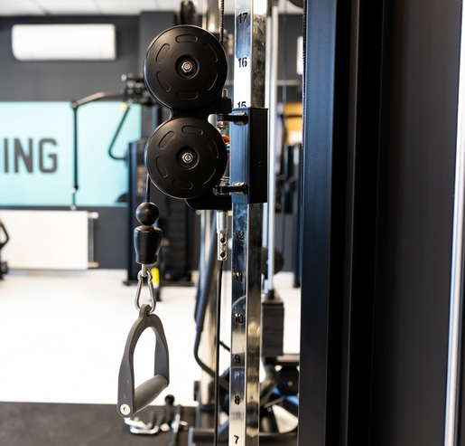 RING DAP Dual pulley system (V kros mašina 2 x 70 kg)-RP LD17