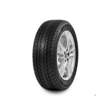 195/50R15 Davanti guma 86H Wintoura XL zim