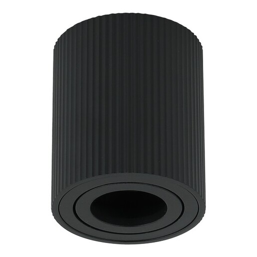 Forma Plafonska lampa AFS118-1C BK