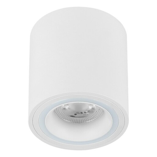 Forma Plafonska lampa AFS116-1C WH