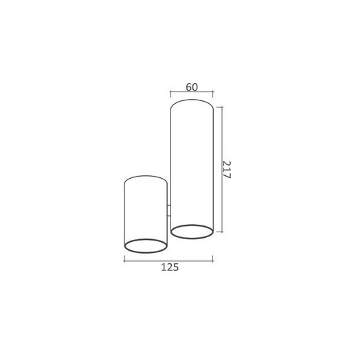 Forma Plafonska lampa AFS103-1C WH