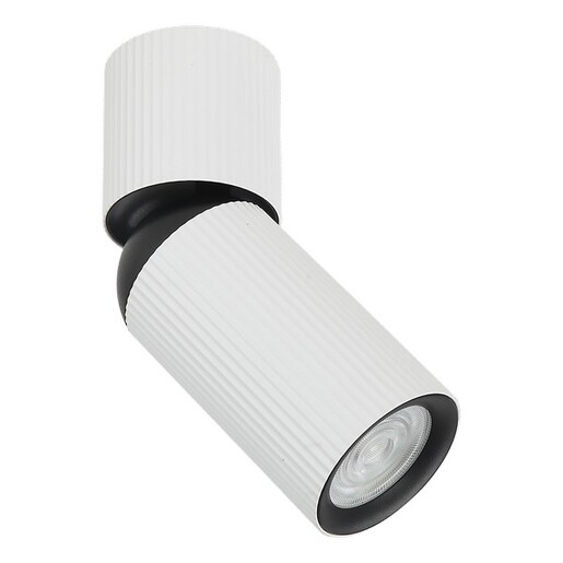 Forma Plafonska lampa AFS117-1C WH