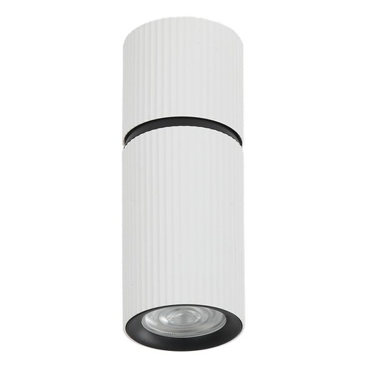 Forma Plafonska lampa AFS117-1C WH