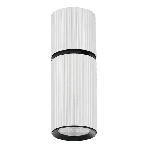 Forma Plafonska lampa AFS117-1C WH