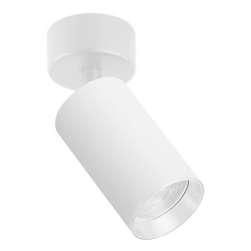 Forma Plafonska lampa AFS121-1C WH