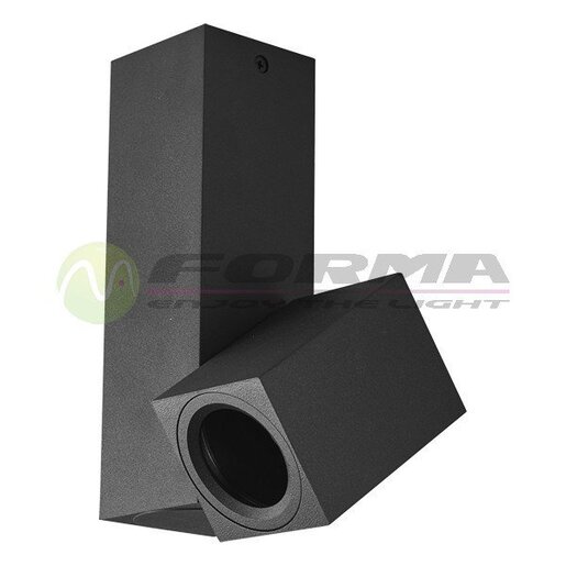 Forma Plafonska lampa AFS101-1C BK