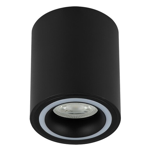 Forma Plafonska lampa AFS116-1C BK