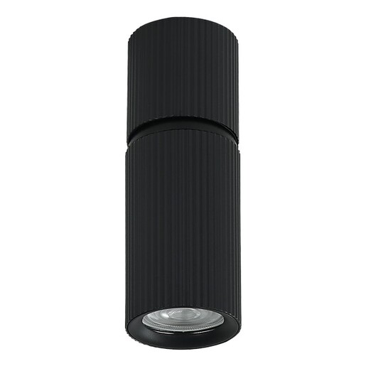 Forma Plafonska lampa AFS117-1C BK