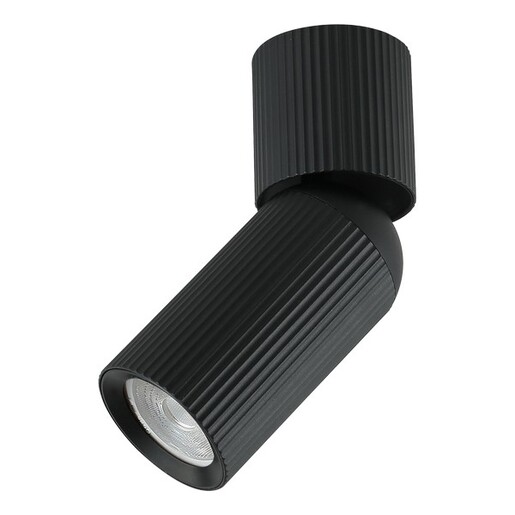 Forma Plafonska lampa AFS117-1C BK