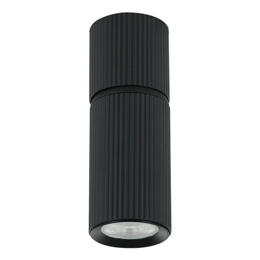 Forma Plafonska lampa AFS117-1C BK