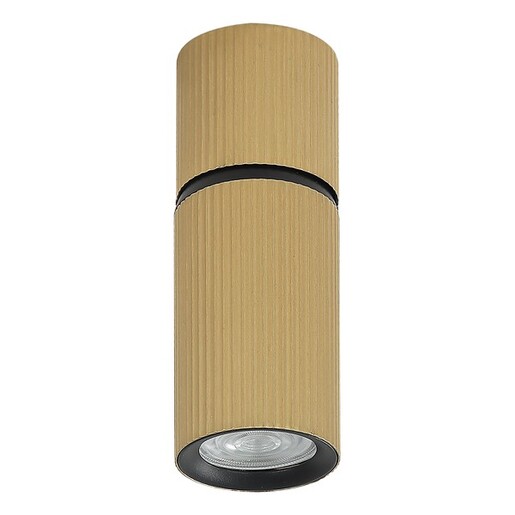 Forma Plafonska lampa AFS117-1C SG