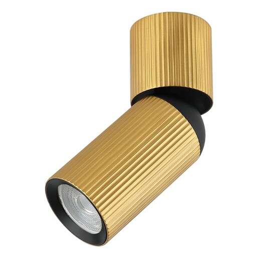 Forma Plafonska lampa AFS117-1C SG