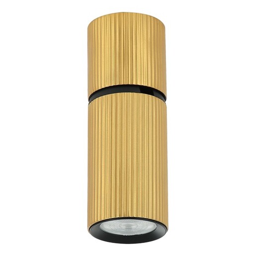 Forma Plafonska lampa AFS117-1C SG