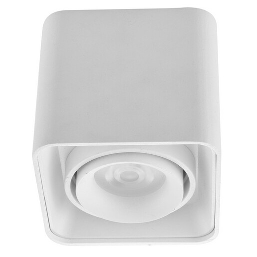 Forma Plafonska lampa AFS108-1C WH