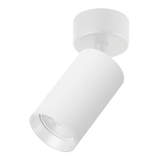 Forma Plafonska lampa AFS121-1C SG