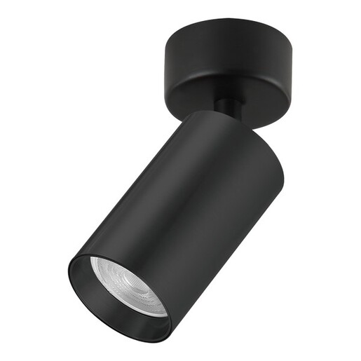 Forma Plafonska lampa AFS121-1C SG