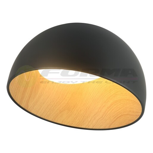 Forma LED plafonska lampa FK2001-24C BK