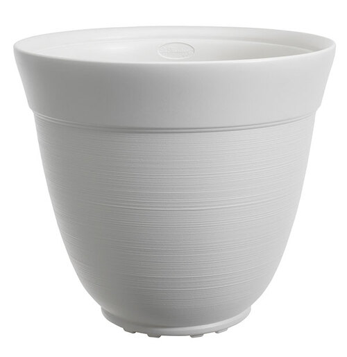 Saksija Di Martino Ticino, 38 lit, bela