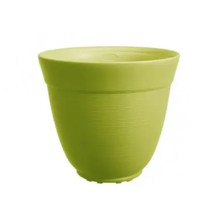 Saksija Di Martino Ticino, 18 lit, svetlozelena