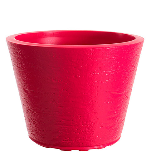 Saksija Di Martino Tirso, 26 lit, ružičasta