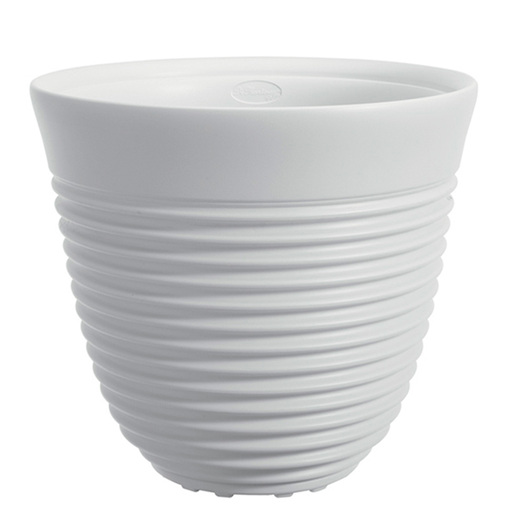 Saksija Di Martino Tevere, 38 lit, bela