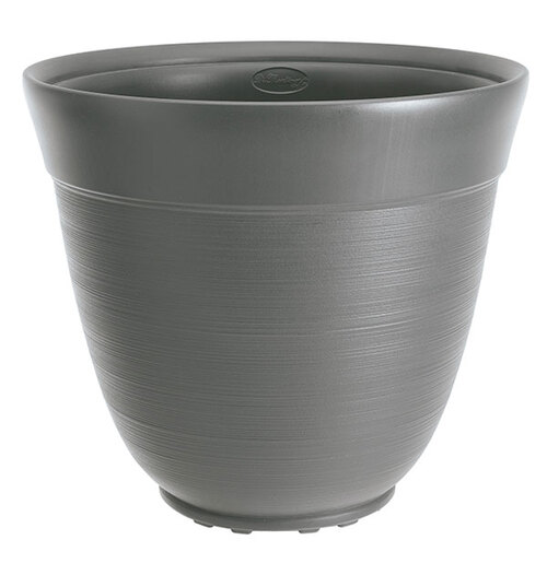 Saksija Di Martino Ticino, 18 lit, tamnosiva