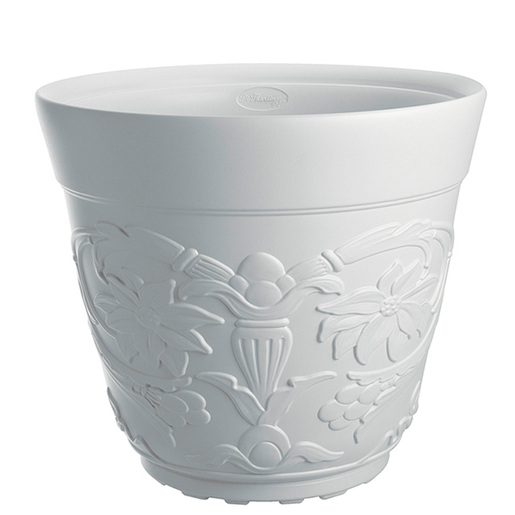 Saksija Di Martino Minho, 18 lit, bela