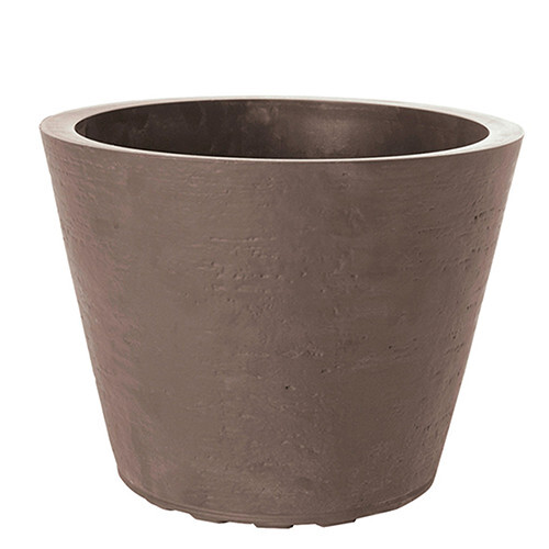 Saksija Di Martino Tirso, 26 lit, golupčija siva