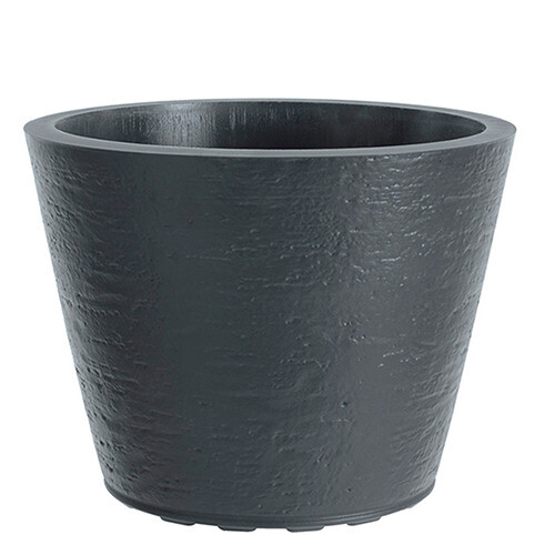 Saksija Di Martino Tirso, 19 lit, tamnosiva