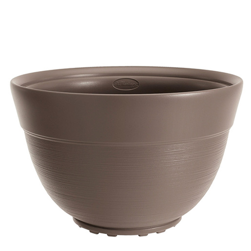 Saksija Di Martino Dora, 13 lit, golupčija siva