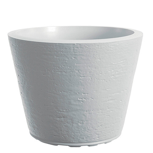 Saksija Di Martino Tirso, 40 lit, bela