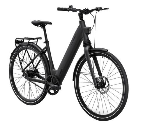 MS ENERGY eBike c300