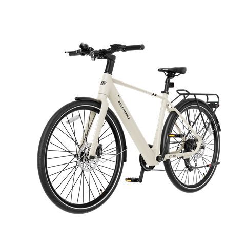 MS ENERGY eBike c40