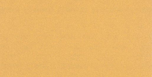 BOSCH Brusni papiri sa 14 rupa EXPERT C470 za ekscentrične brusilice 2608900875