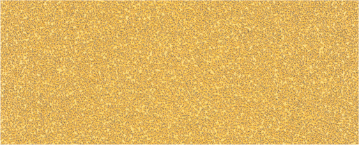 BOSCH Brusni papiri EXPERT C470 bez rupa za ekscentrične brusilice 2608900840