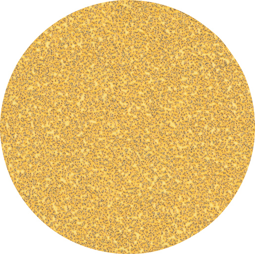 BOSCH Brusni papiri bez rupa EXPERT C470 za ugaone brusilice i bušilice 2608900951