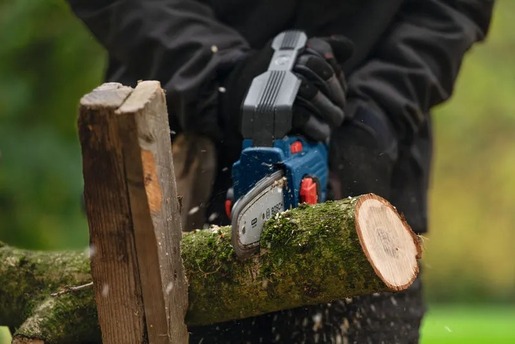 BOSCH Professional akumulatorska lančana testera GKE 18V-15 - SOLO ALAT 06008D7000