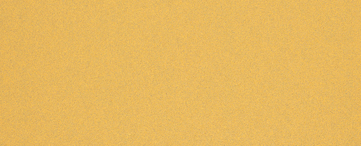 BOSCH Brusni papiri EXPERT C470 bez rupa za ekscentrične brusilice 2608900842