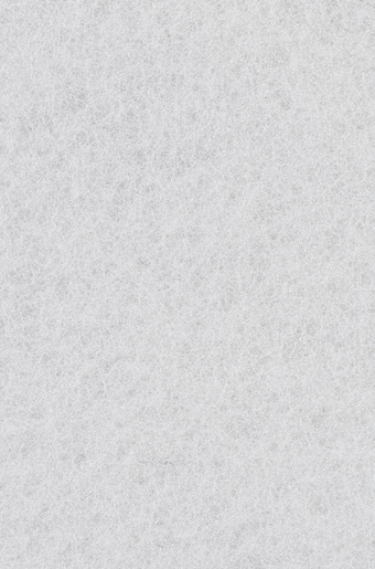 BOSCH Podloge od flisa EXPERT N880 za ručno brušenje 2608901211