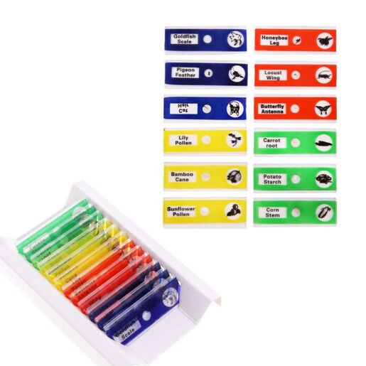 Mikroskop set za mlade naucnike JWD-8+