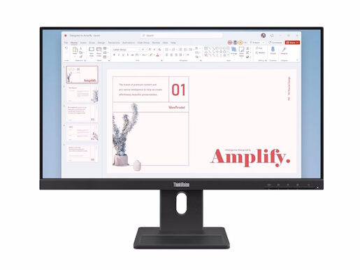 Monitor LENOVO ThinkVision E24-40 23.8", IPS, FHD, 100Hz, 4ms, HDMI, DP, VGA, Swivel, Pivot