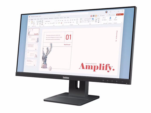 Monitor LENOVO ThinkVision E24-40 23.8", IPS, FHD, 100Hz, 4ms, HDMI, DP, VGA, Swivel, Pivot
