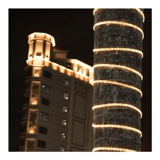 Toplo belo svetleće led crevo Svc-2l36d/ww