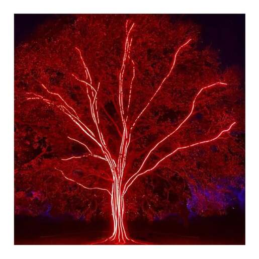 Crveno svetleće led crevo Svc-2l36d/r