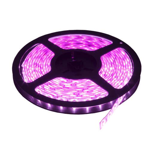Led traka roze 60 led / 1m Ltr2835/60p-12