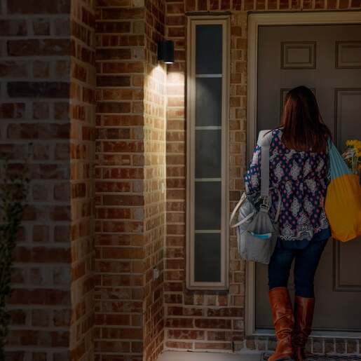 Ledvance zidna lampa 1xgu10 4058075554535e