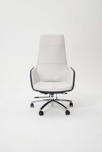 Medics Care ZenPro Q6 Masažna Kancelarijska Stolica (Bela / Crna)