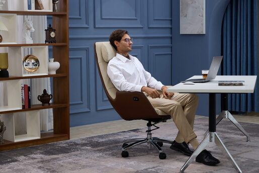 Medics Care ZenPro Q6 Masažna Kancelarijska Stolica (Bež / Braon)